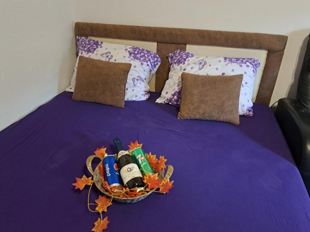 Apartman En Dusanovac エクステリア 写真